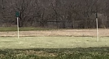 Section of putting green