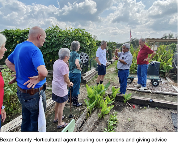 photo of garden area with Bear County Horticultural agent touring our gardens and giving advice to six garden club members.