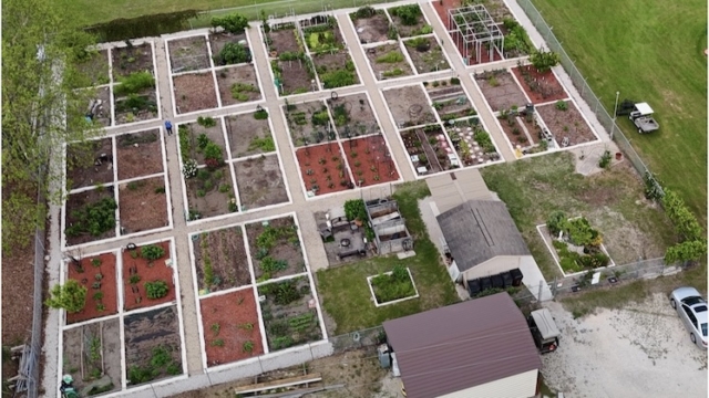 Overhead view of garden area