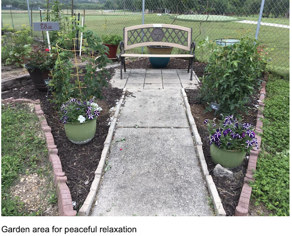 Photo of garden section showing a path leading to a bench. The area shows a variety of flower pots filled with plants and flowers.