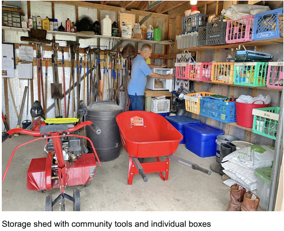 Photo of interior of the garden club shed filled with various garden tools and supplies. Shown are a wheel barrow and tiller. One member is shown opening a container.